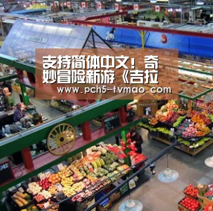 海豚体育