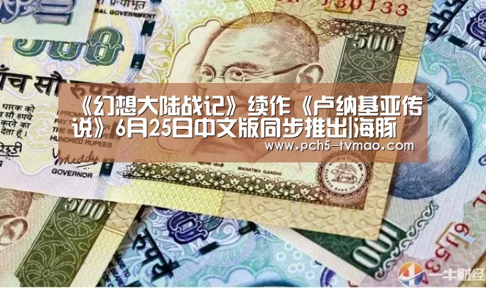 海豚体育