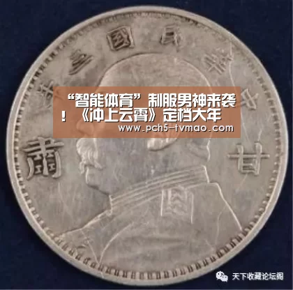 海豚体育