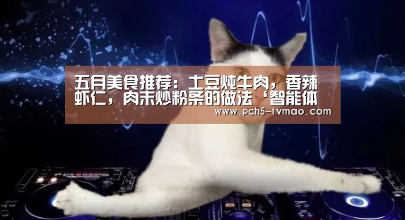 海豚体育