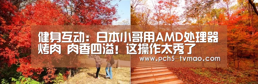 健身互动:日本小哥用AMD处理器烤肉 肉香四溢!这操作太秀了(图1) 体育赛事