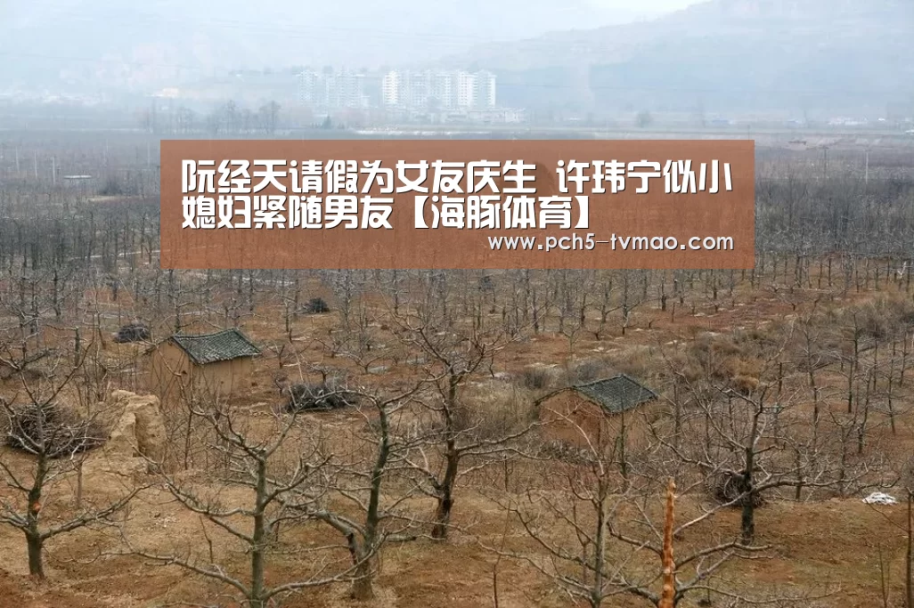 运动平台