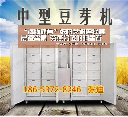 海豚体育