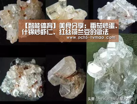【智能体育】美食分享:番茄炒蛋、什锦炒虾仁、红丝荷兰豆的做法(图4) 运动平台
